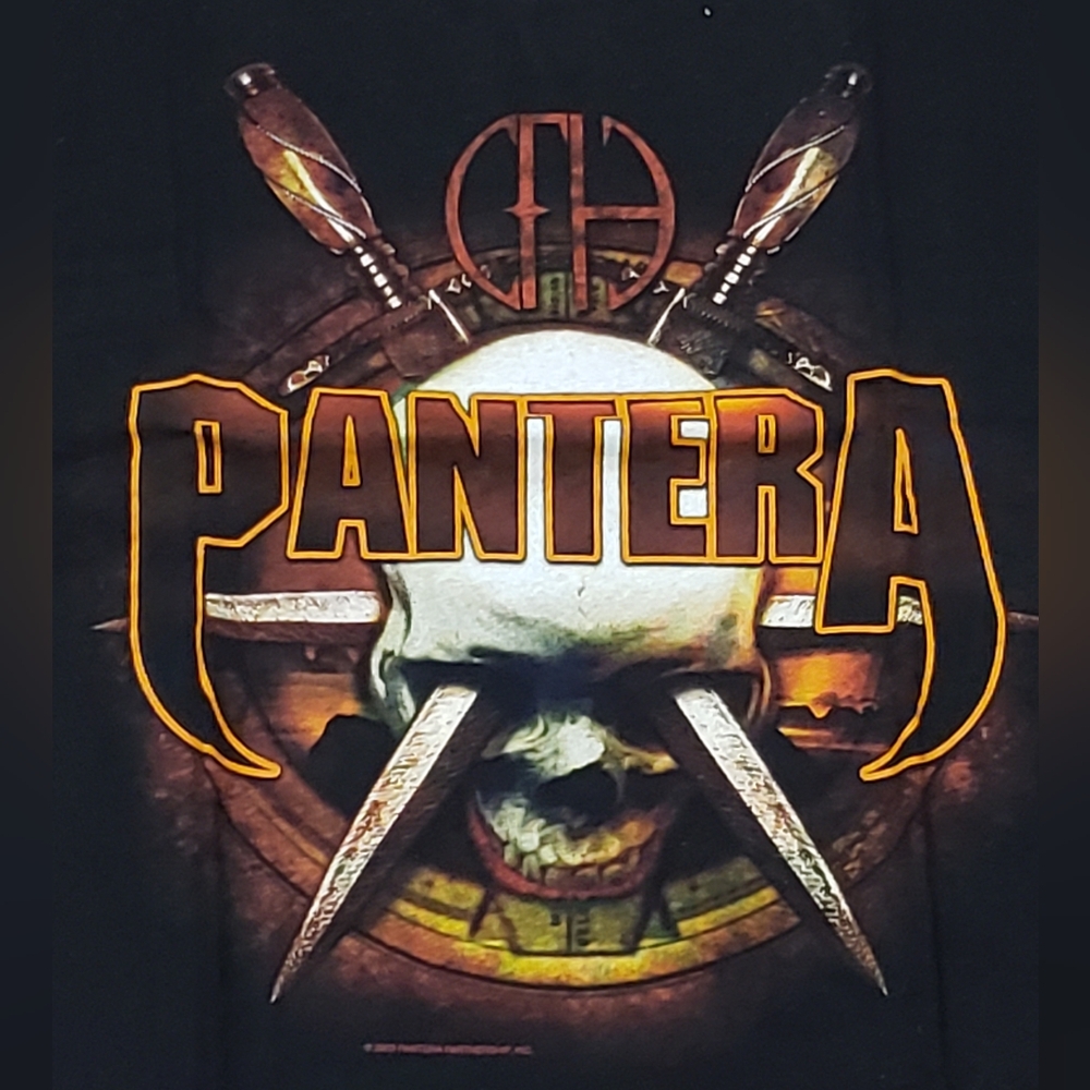 Vintage Pantera T Shirt 2003 Skull And Dagger Tee